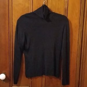 Ann Taylor Silk Turtleneck